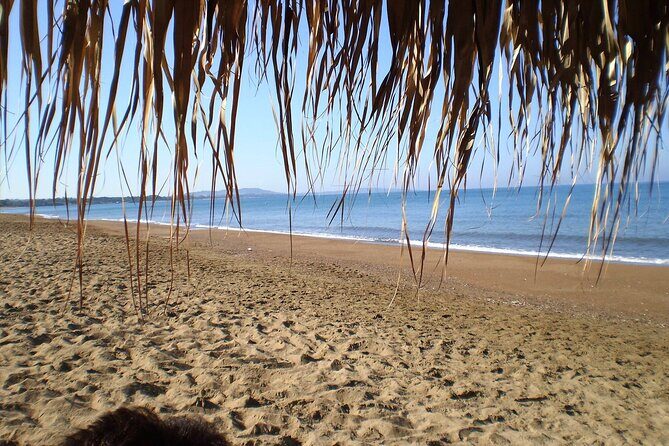 Ancient Olympia & Kourouta Beach - All Included Tour - Value check: is $138.18 a smart buy?
