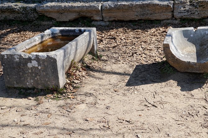 Ancient Olympia Private Tour from Athens - Lunch in the village and the long return to Athens