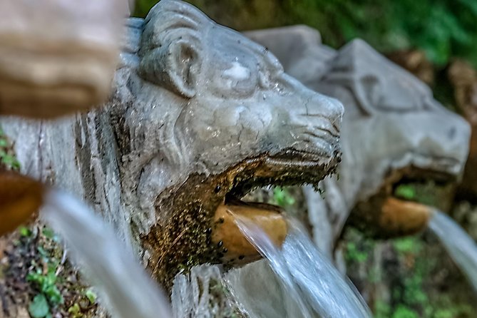 Andros half-day sightseeing tour - Pithara Waterfalls and the 15-minute walk