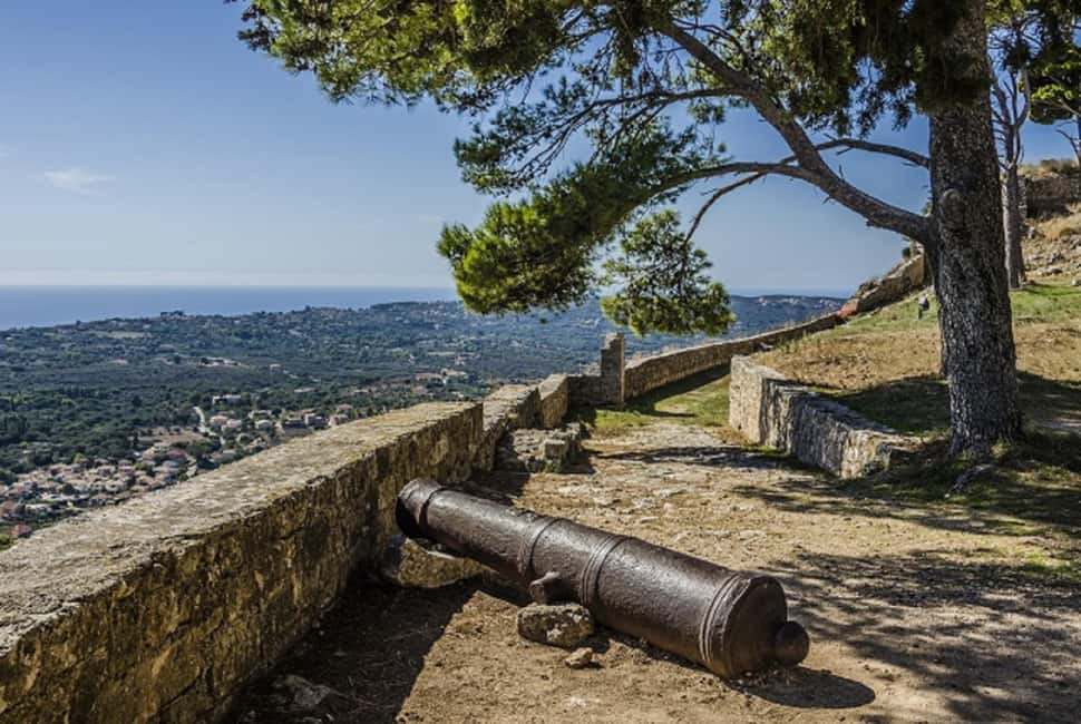 Argostoli & Beyond: Culture, Villages, Olive Oil & Honey - Olive oil, honey, and a taste of local farming