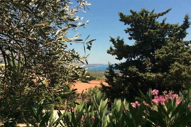 Argostoli & Beyond: Villages, Olive Oil & Honey Tasting - Why this half-day route works for a short Kefalonia visit