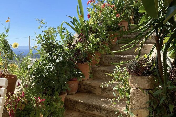 Argostoli & Beyond: Villages, Olive Oil & Honey Tasting - Agios Gerasimos, a quiet religious stop