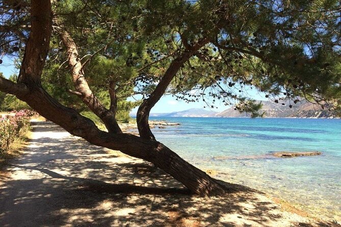 Argostoli & Beyond: Villages, Olive Oil & Honey Tasting - Koutavos Lagoon closes the route