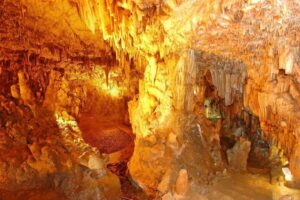 Argostoli: Melissani & Drogarati Cave Tour with Wine Tasting - Drogarati Cave: stalagmites, stalactites, and that acoustic effect