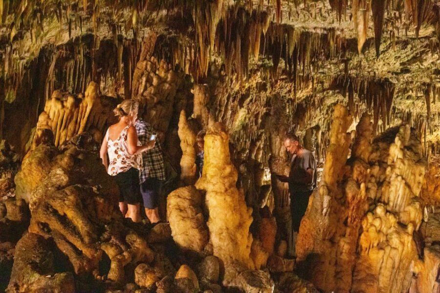 Argostoli: Melissani & Drogarati Cave Tour with Wine Tasting - Cruise-day logistics that make the tour feel easy