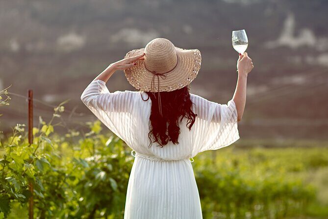 “ARISMARI” – Vineyard Tour & Wine Tasting - Walking the sunlit vineyards: the part that makes it feel real
