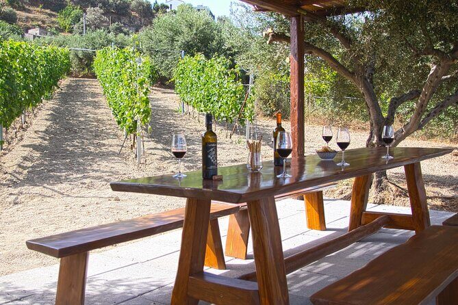 “ARISMARI” – Vineyard Tour & Wine Tasting - The pergola tasting: six 60ml pours done at a human pace