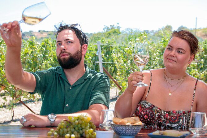 “ARISMARI” – Vineyard Tour & Wine Tasting - Value check: why $56.41 is more than a pour-and-go