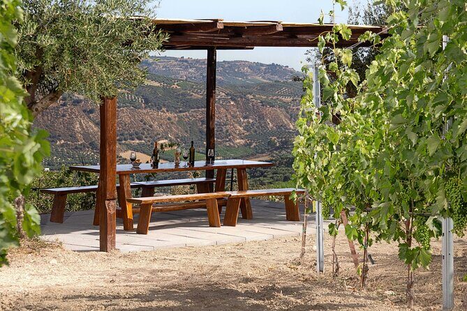 “ARISMARI” – Vineyard Tour & Wine Tasting - Getting there in Dafnes: the one logistics item to solve