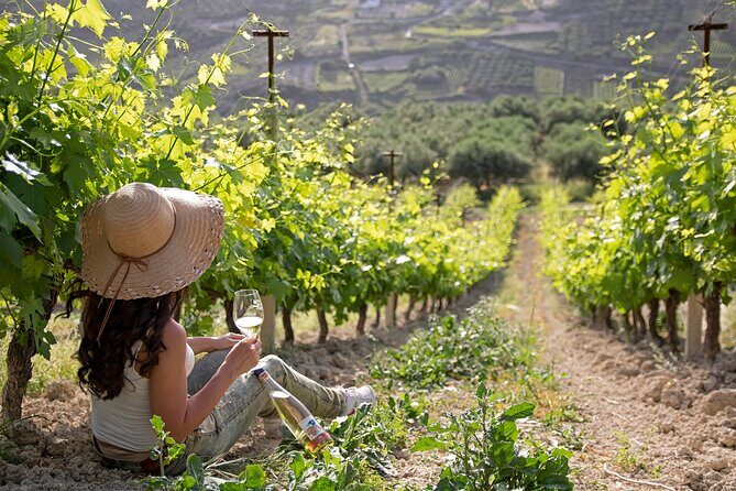 “ARISMARI” – Vineyard Tour & Wine Tasting - Douloufakis Winery first: rusks, cheese, and friendly explanations