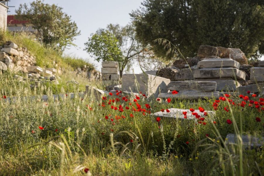 Athens: Acropolis Beat the Heat Guided Tour - Propylaia and the approach to the Parthenon