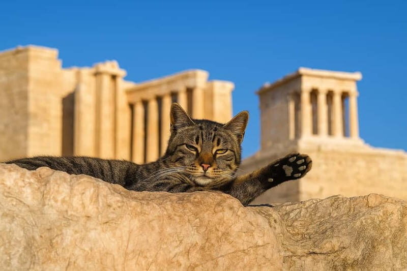 Athens: Acropolis Guided Tour with Skip-The-Line Tickets - Key points worth knowing
