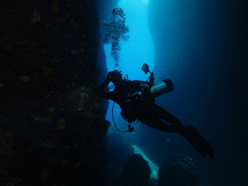Athens: Adventure Dives in Nea Makri for Certified Divers - Who will get the most from this outing