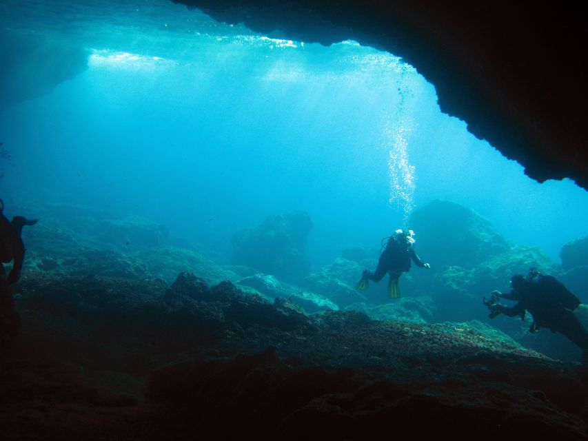 Athens: Adventure Dives in Nea Makri for Certified Divers - What you may find around Platourada, Dipsa, and Marathon Cape