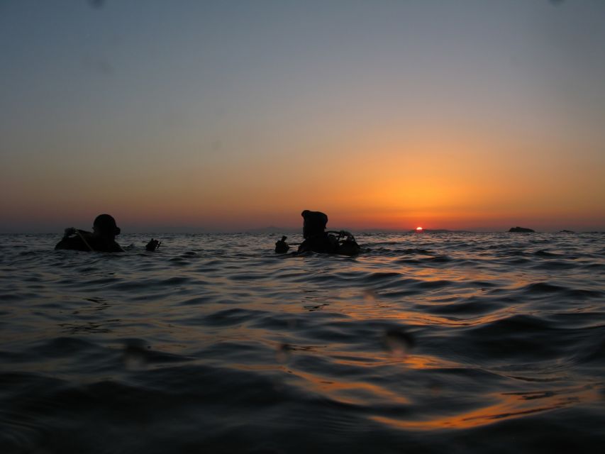Athens: Adventure Dives in Nea Makri for Certified Divers - What the $64 price includes