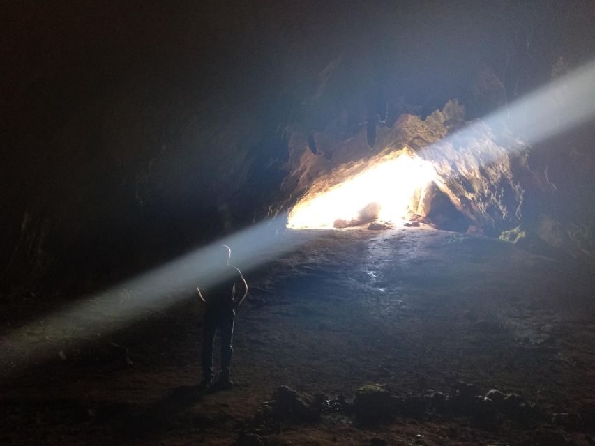 Athens: Delphi, Corycian Cave, and 300 Battlefield Day Trip - Corycian Cave on Mount Parnassos: off-road oracle country