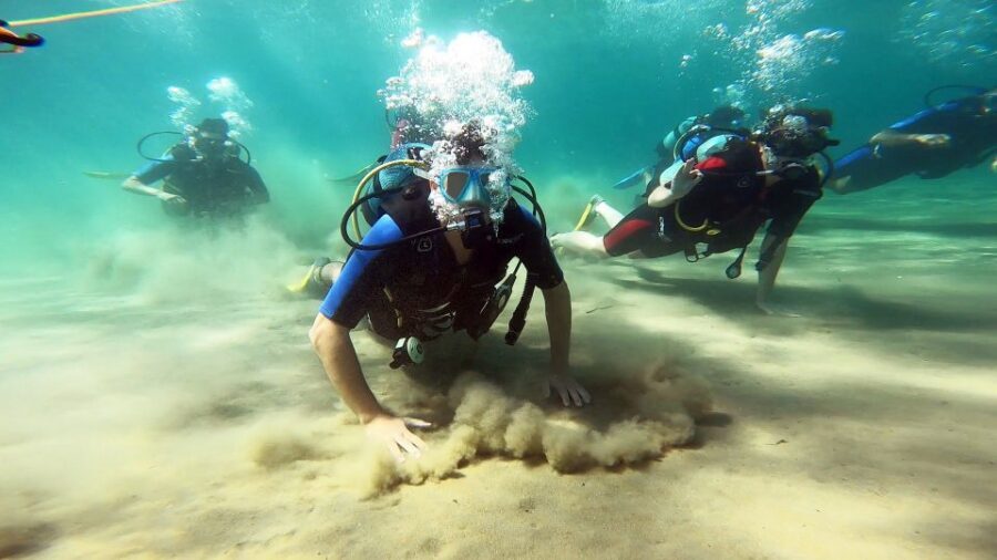 Athens East Coast: Discover Scuba Diving in Nea Makri - What you’ll see in Schinias Bay: fish, seabed life, and one practical warning