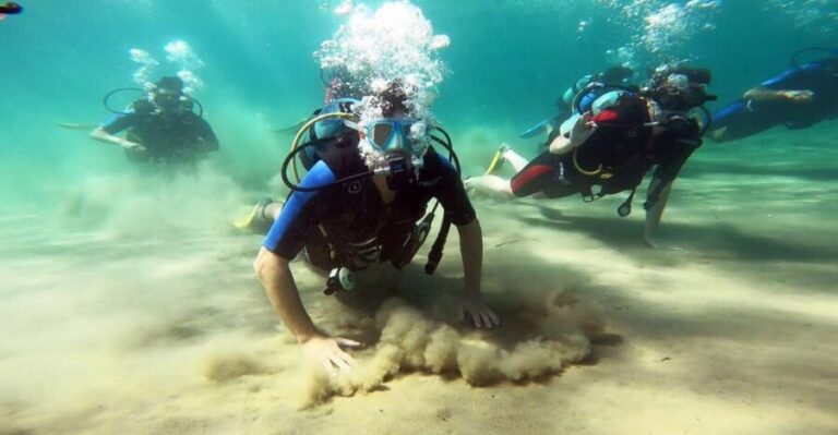 Athens East Coast: Discover Scuba Diving in Nea Makri - Meeting point in Frinis 20 and the real 3-hour flow