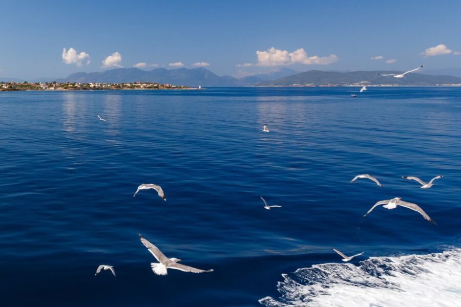 Athens: Guided Day Trip to Aegina Island with Swimming - Price and value: the $57 headline vs the real all-in cost