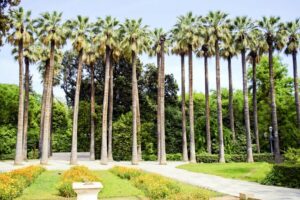Athens Instagram Tour: The Most Scenic Spots - Greek Parliament and the Evzones: kilts, ceremony, and easy framing