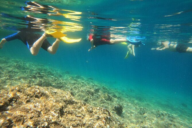 Athens, Nea Makri: Guided Small Group Snorkeling Boat Excursion - Schinias Bay snorkeling and beach time: Natura 2000 relaxation