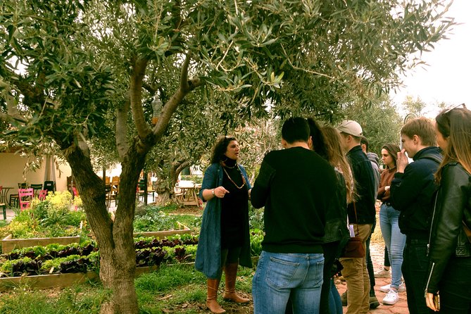 ATHENS OLIVE ESTATE - Olive Oil Workshop with Farm-to-Fork Lunch - The three-course seaside lunch