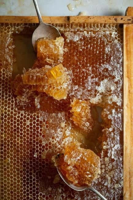 Athens: Premium Greek Honey Tasting - What happens during the 20-minute tasting