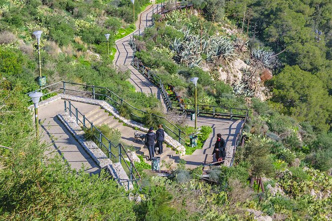 Athens Private Custom Tour with a Local: Highlights & Hidden Gems - Mount Hymettus and the forest-fringed monastery