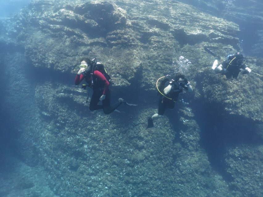 Athens: Private Discover Scuba Diving for Beginners - Athens Coast Makes a Great First Scuba Session (Up to 10 Meters)