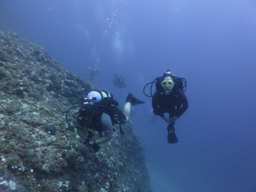 Athens: Private Discover Scuba Diving for Beginners - Getting There: Hotel Pickup, a 30-Minute Ride, and a Smooth Return