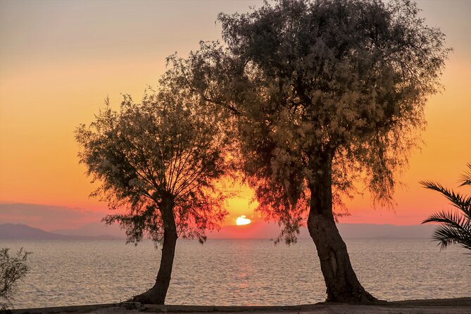 Athens Riviera: Poseidon Temple, Springs & Lake Vouliagmeni Tour - Timing, meeting point, and comfort