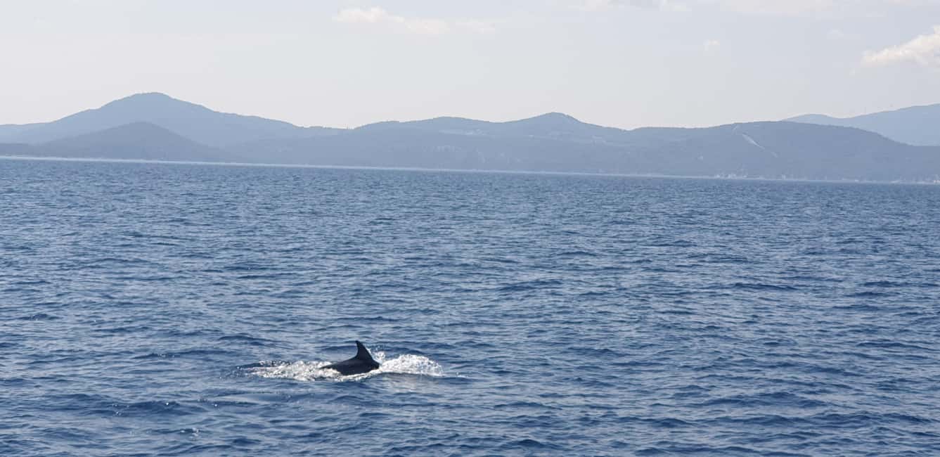 Athens Riviera Private Catamaran Cruise with Meal and Drinks - Key points to know before you book