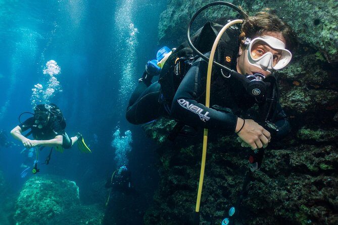 Athens Scuba Diving Experience for Certified Divers with Pickup - Price and value: what $219.28 is really buying