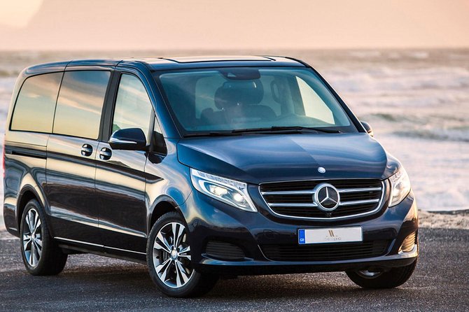Athens Shore Excursion: Private Athens Sightseeing and Acropolis Tour - What your private vehicle changes