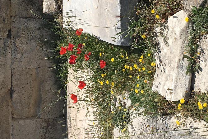 Athens Shore Excursion: Private City Sightseeing and Acropolis Tour - After the Heights: Syntagma Square and the Tomb of the Unknown Soldier