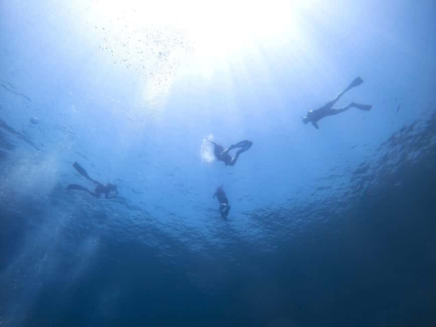 Athens: Snorkeling Riviera Adventure - Key reasons this Athens snorkeling feels worth the money
