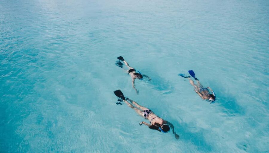 Athens: Snorkeling Riviera Adventure - What you’ll see under the Athens shoreline