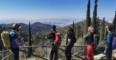Athens Sunset Hike - Starting the walk through pine forest