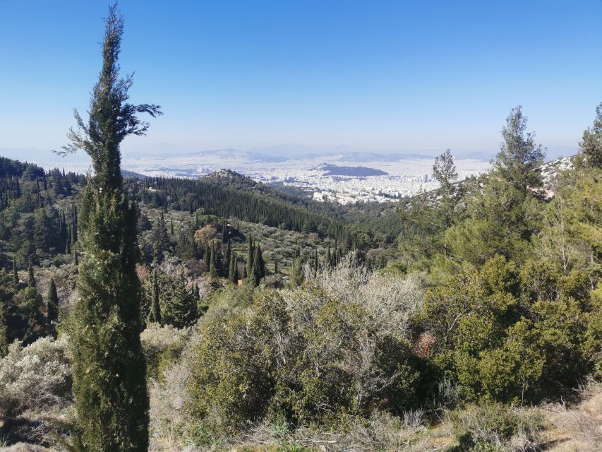 Athens Sunset Hike - What the guides add to the evening