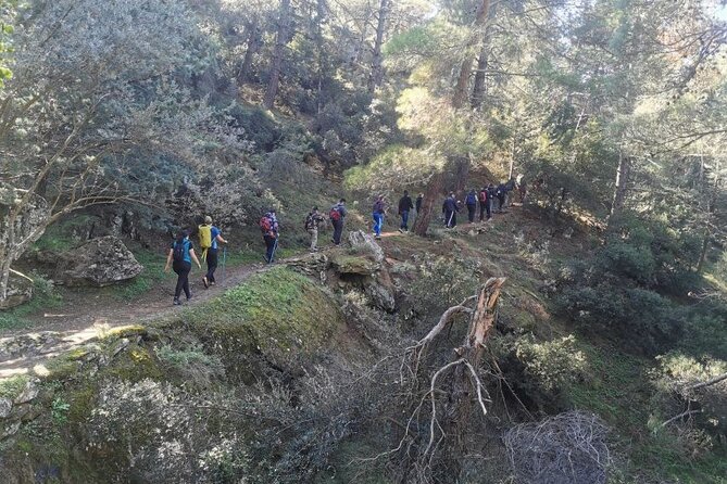 Athens Sunset Hymettus Mountain Hike - Free Photos and the Small-Group Advantage