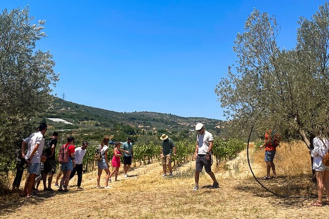 Athens to Nemea Wine Experience Tour - A second style of wine at Archaies Kleones