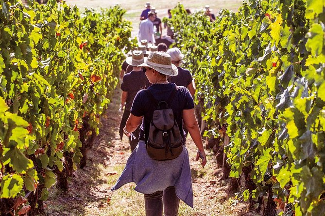 Athens Wine Tour - An Outstanding Full Day Experience For Dedicated Winelovers - Key points at a glance