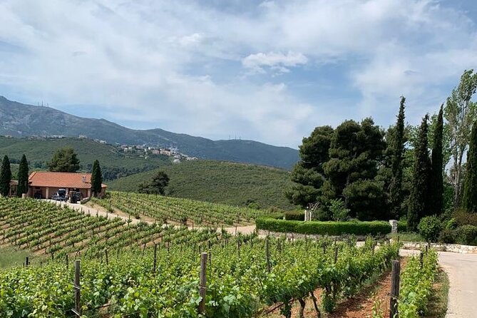 Athens Wine Tour - An Outstanding Full Day Experience For Dedicated Winelovers - Why Attica makes a good wine day from Athens