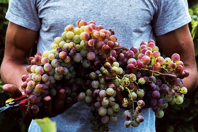 Athens Wine Tour - An Outstanding Full Day Experience For Dedicated Winelovers - The second winery adds lunch and a slower pace