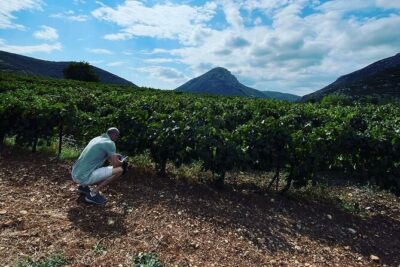Athens Wine Tour with Wine Expert - Nikolou Winery brings wine and family cooking together