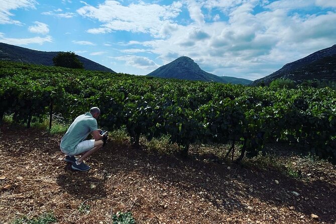 Athens Wine Tour with Wine Expert - Nikolou Winery brings wine and family cooking together