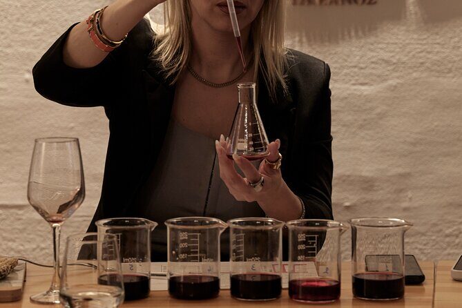 Athens: Wine Workshop Create your Own Wine under the Acropolis - Who should book this Athens workshop