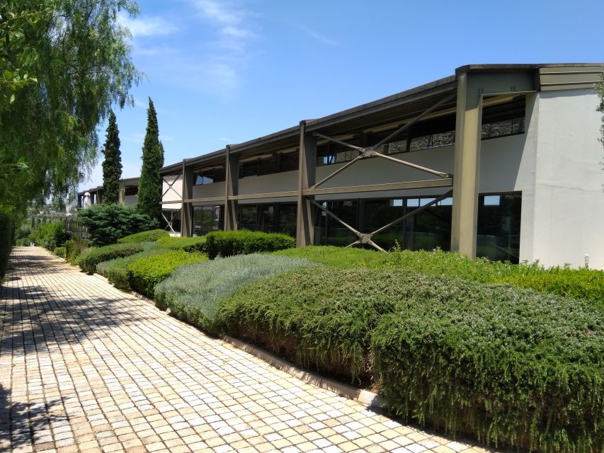 Athens Winery Tour - Three Greek wines, served with local bites