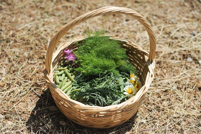 Authentic Greek Cooking & Foraging Experience in Syros with Maria - Why this Syros cooking class feels different