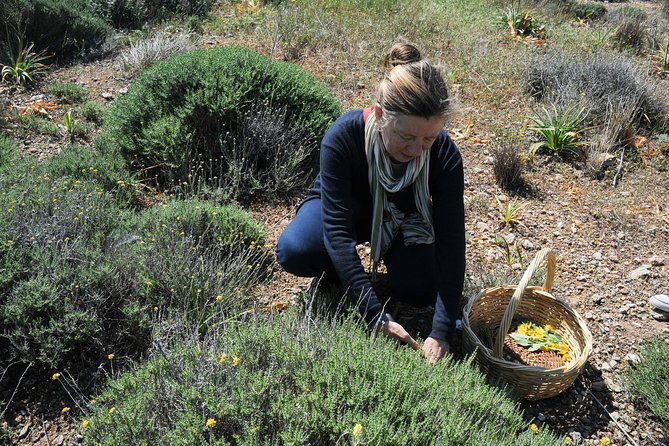 Authentic Greek Cooking & Foraging Experience in Syros with Maria - Inside Maria’s garden and kitchen